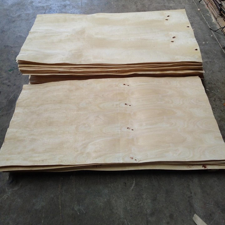 Core Veneers to make Plywood from Eucalyptus/ acacia  Made in Vietnam