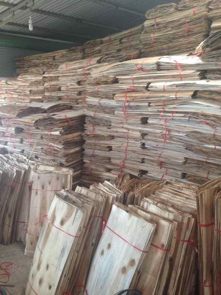 Core Veneers to make Plywood from Eucalyptus/ acacia  Made in Vietnam