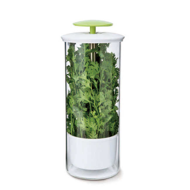 Premium Glass Herb Keeper and Herb Storage Container Savor Preserver for Cilantro, Mint, Parsley, Asparagus