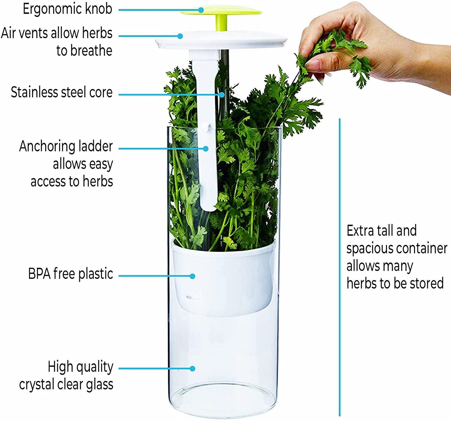 Premium Glass Herb Keeper and Herb Storage Container Savor Preserver for Cilantro, Mint, Parsley, Asparagus