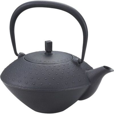 Sui iron kettle made in Japan green tea ceremony coffee pot Japanese traditional cast iron