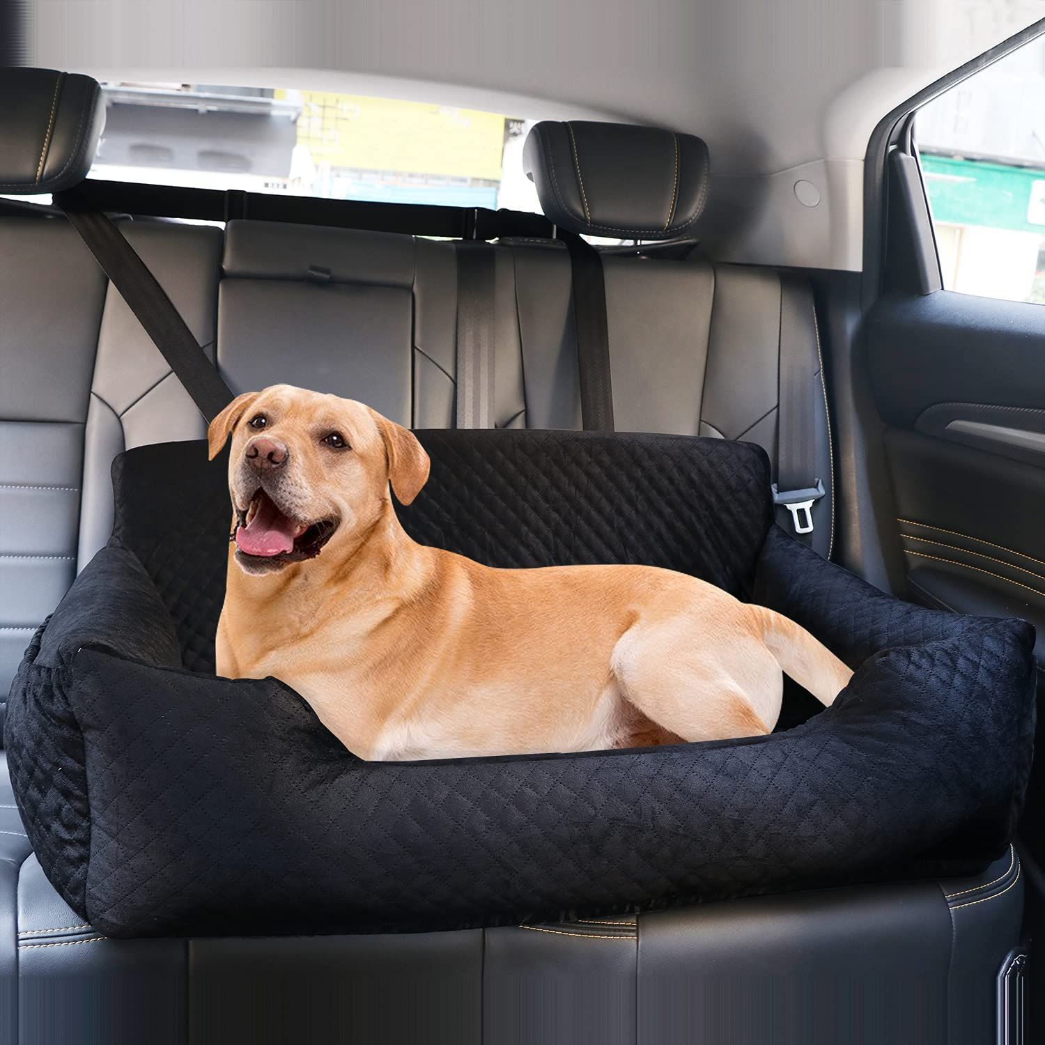 Pet Booster Back seat Bed for Travel Safety Dog Car Seat for Large/Medium Dog Under 60 lbs or 2 Small Dogs