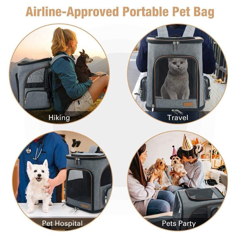 Luxury Carrying Backpack Collapsible Tote Clear Expandable Portable Breathable Small Dogs Cats Pet Travel Bags Carrier