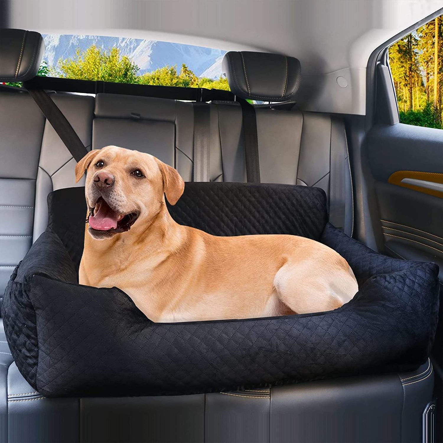 Pet Booster Back seat Bed for Travel Safety Dog Car Seat for Large/Medium Dog Under 60 lbs or 2 Small Dogs