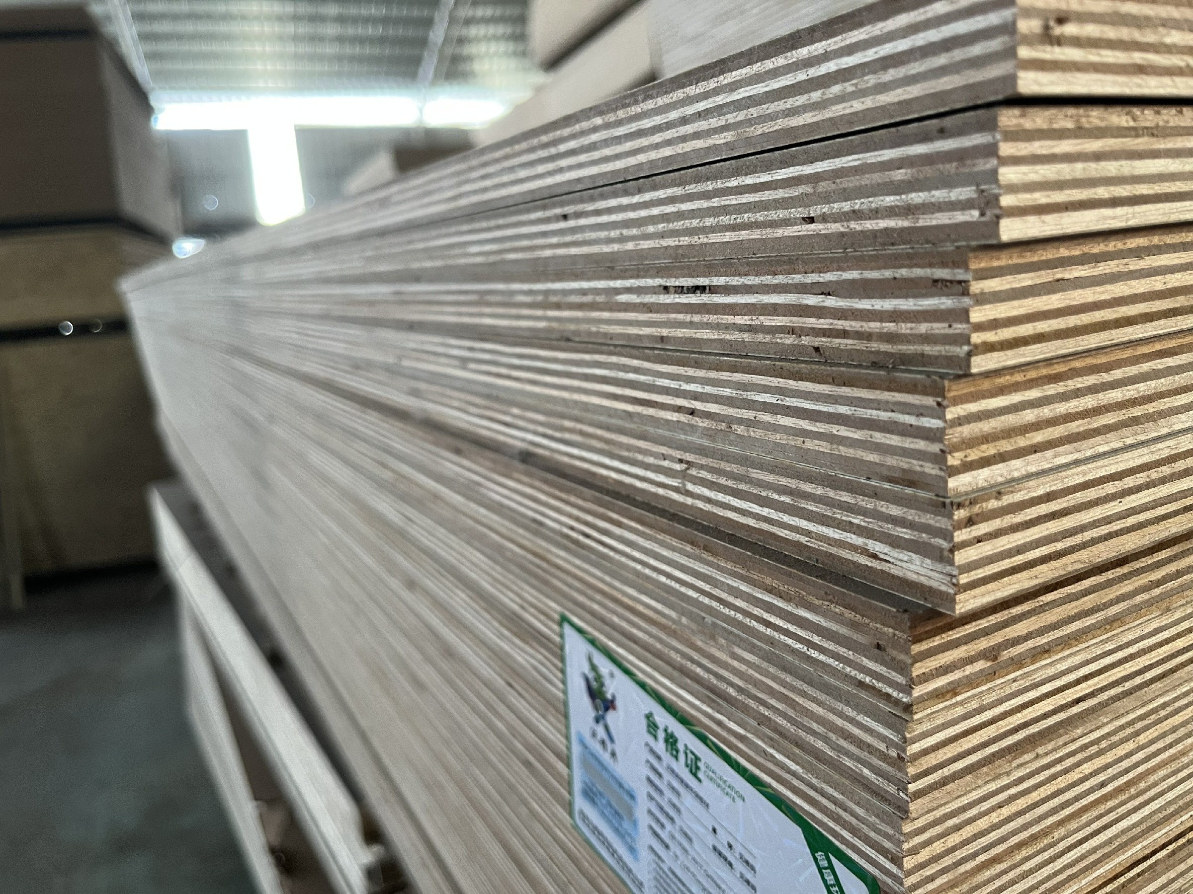 Modern E0 18Mm Sheet Board Waterproof Face Fenol Double Sided Laminated Price Birch 3Mm 1/2 4X8 5/8 Cdx Plywood