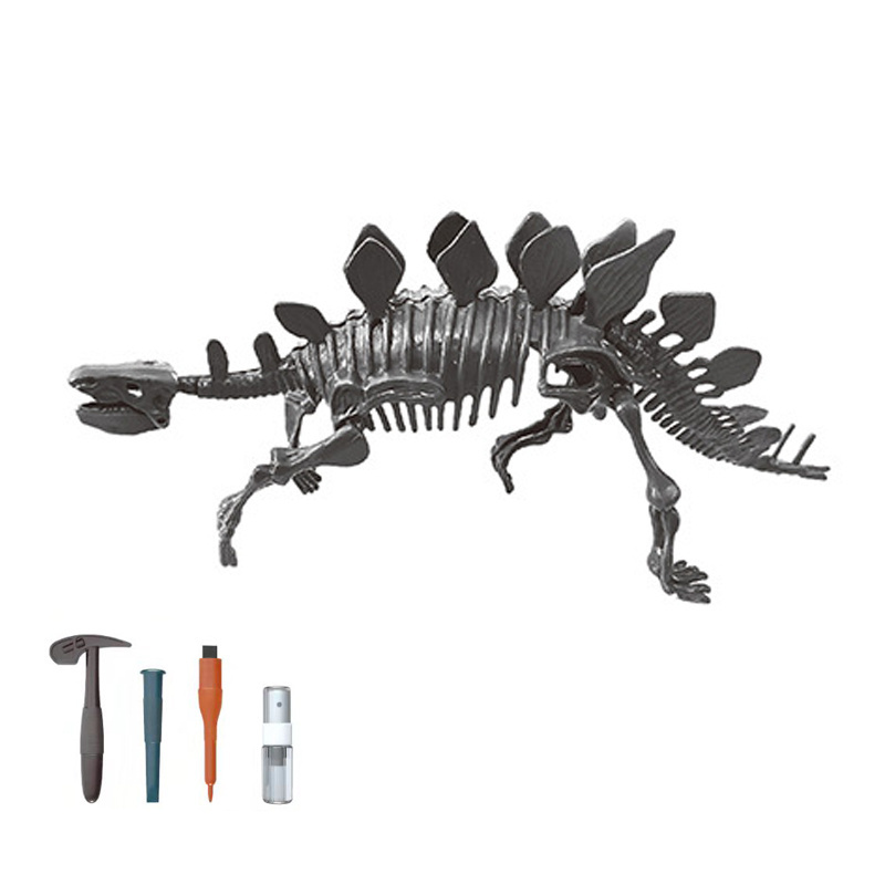 Educational Science toys STEM Archaeology Triceratops Stegosaurus Dinosaur skeleton Fossil Dig Excavation Toy Set