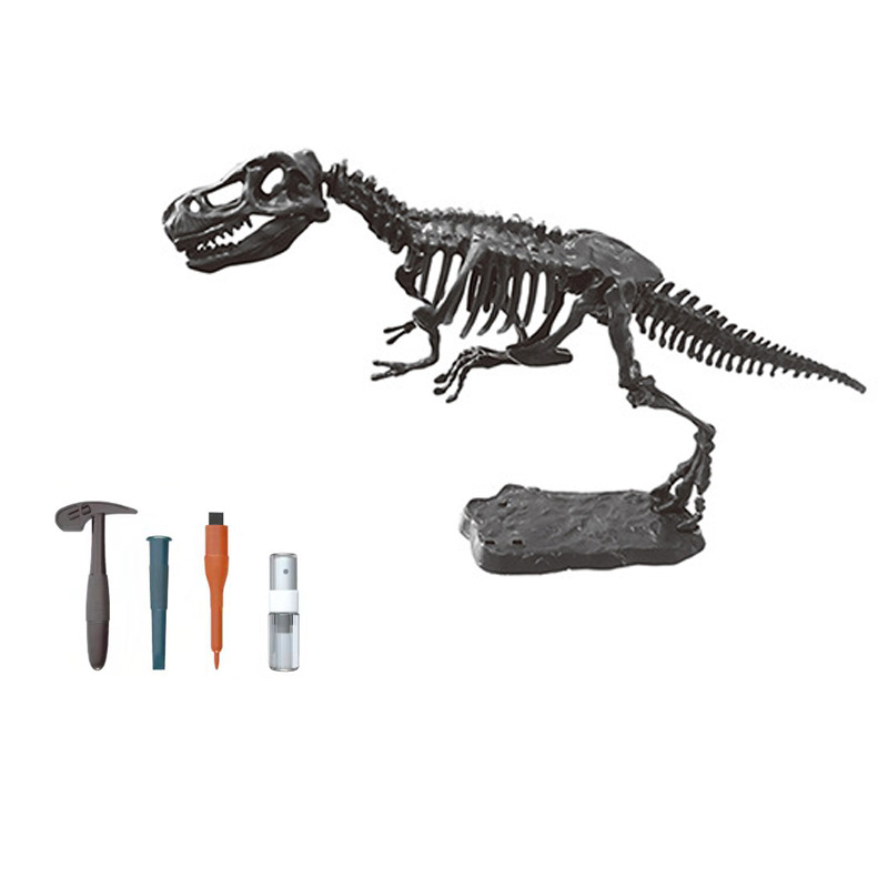 Educational Science toys STEM Archaeology Triceratops Stegosaurus Dinosaur skeleton Fossil Dig Excavation Toy Set