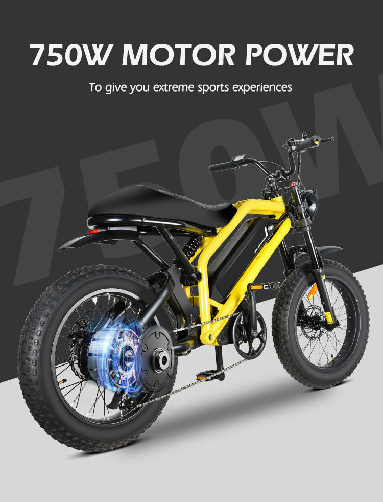 MZ-12 Bicycle Electr Motorcycle Fatbike 350W 500W 750W Fat Tire 1000W Mountain Full Suspension E Electric Bike Adult