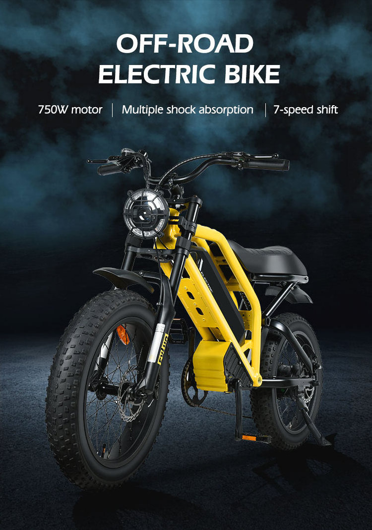 MZ-12 Bicycle Electr Motorcycle Fatbike 350W 500W 750W Fat Tire 1000W Mountain Full Suspension E Electric Bike Adult