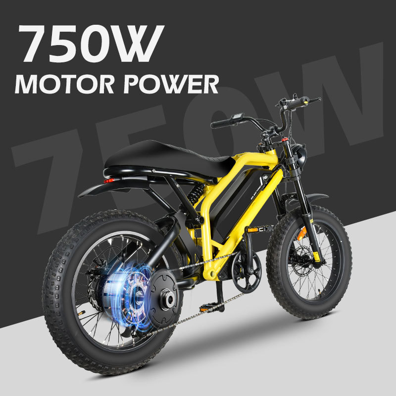 MZ-12 48V500W Cargo Motorcycles Bicycle Fatbike Snow Fat Tire Mountain 350W 500W 750W E 1000W 48V Fast Electric Bike