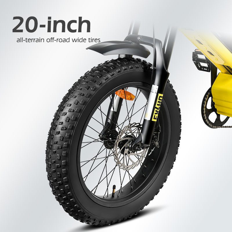 MZ-12 48V500W Cargo Motorcycles Bicycle Fatbike Snow Fat Tire Mountain 350W 500W 750W E 1000W 48V Fast Electric Bike