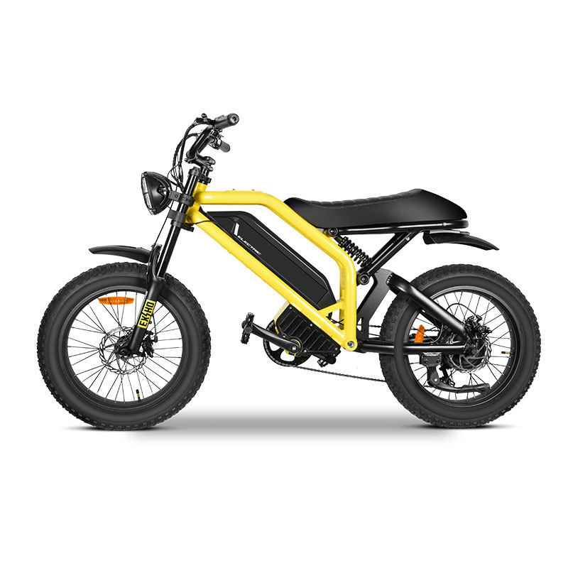 MZ-12 Bicycle Electr Motorcycle Fatbike 350W 500W 750W Fat Tire 1000W Mountain Full Suspension E Electric Bike Adult