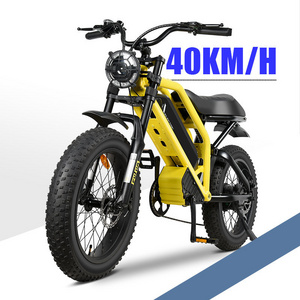 MZ-12 Bicycle Electr Motorcycle Fatbike 350W 500W 750W Fat Tire 1000W Mountain Full Suspension E Electric Bike Adult