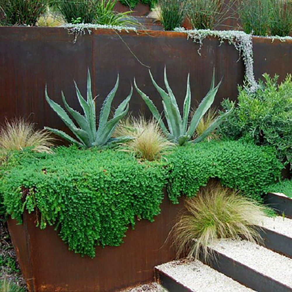 Landscaping & Decking Garden Edging Stripe Border Rust Steel Lawn Edges