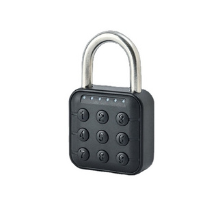 Electronic Smart Lock Intelligent Lock Fingerprint Password Key Home Office Security Door Padlock