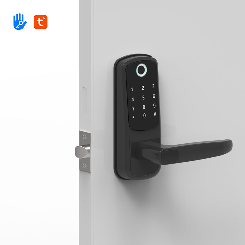 High Security Level Multifunctional Wifi Password Card Smart Lock for Rental Property Management