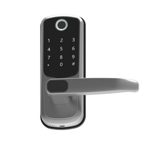 High Security Level Multifunctional Wifi Password Card Smart Lock for Rental Property Management