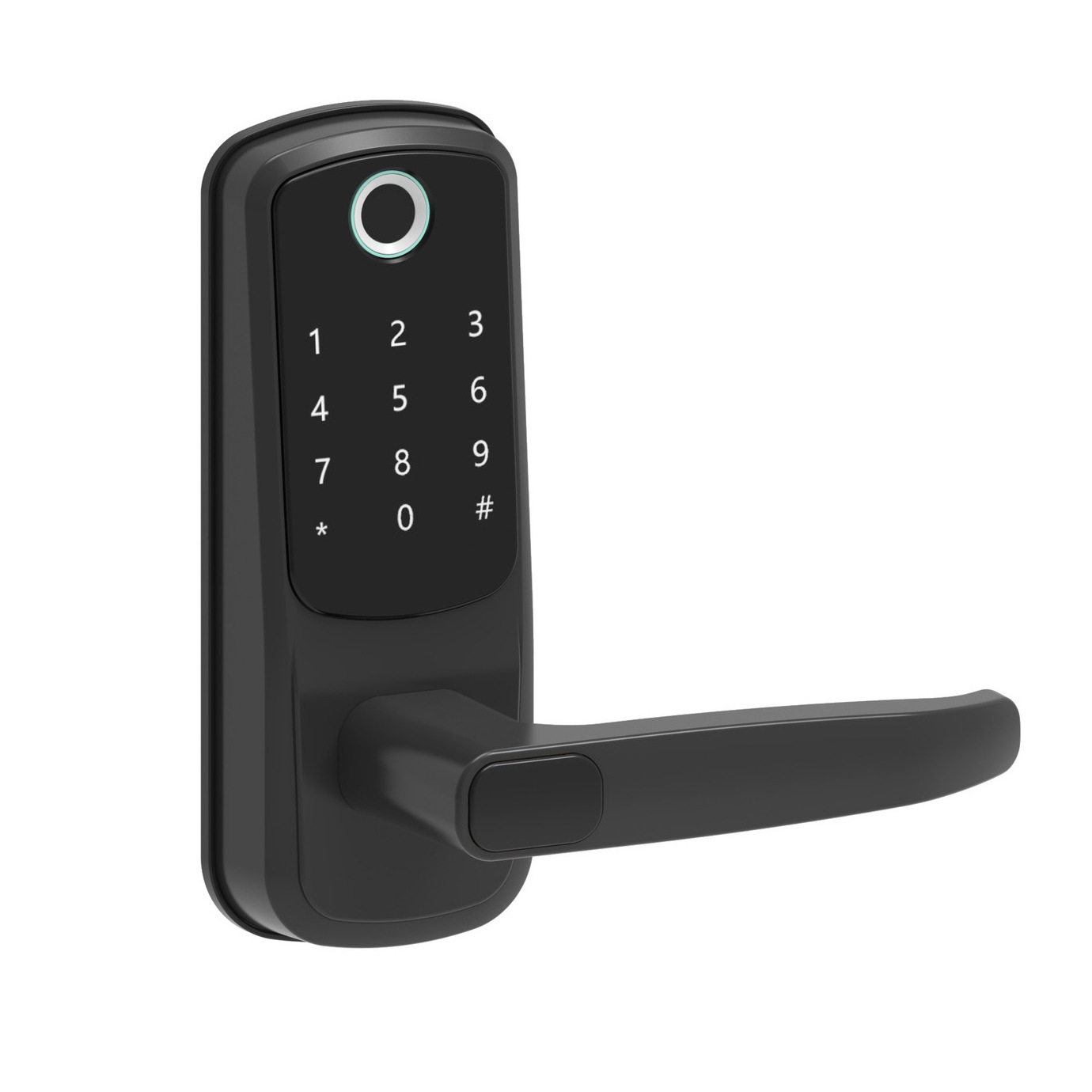 High Security Level Multifunctional Wifi Password Card Smart Lock for Rental Property Management