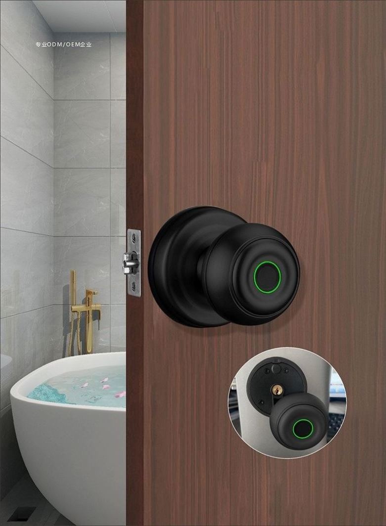 Customized New Product Golden Supplier Smart Door Lock Camera