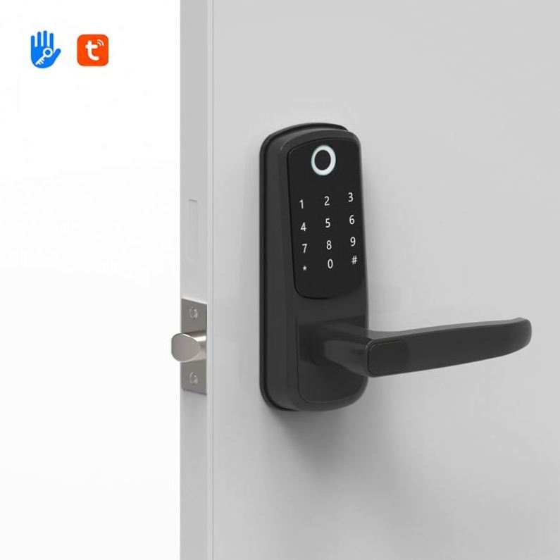 Customized New Product Golden Supplier Premium Smart Door Lock