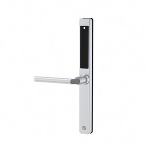 Customized New Product Golden Supplier Airbnb Smart Door Lock