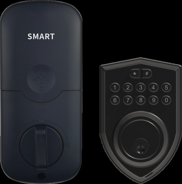 Password Keyless Main Door Entrance Locks Keypad User Code Door Digital Door Home Lock