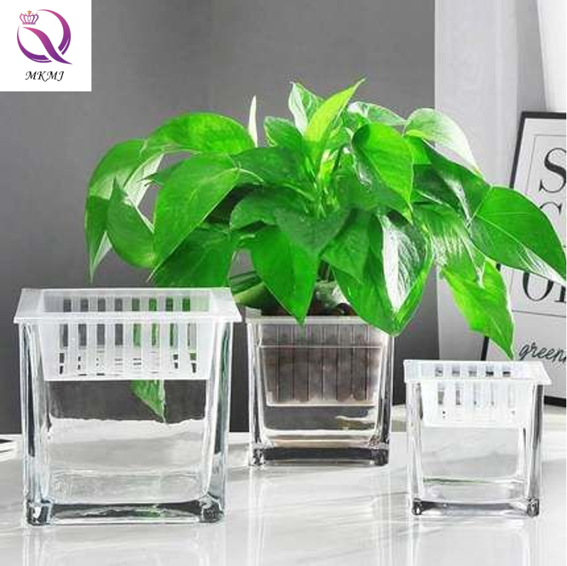 Hydroponic glass vase thickened square glassware square vase candle jar cup