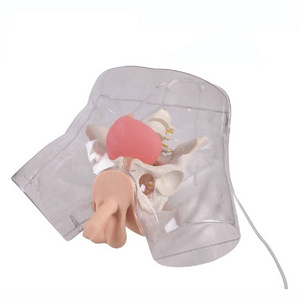 Transparent Male Catheterization model Nursing Training Manikin