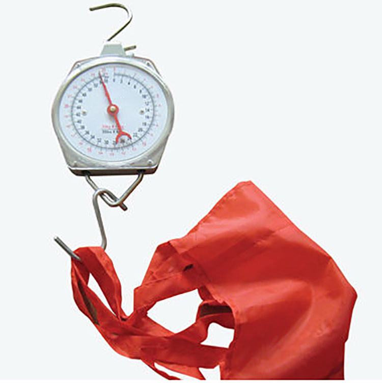 Hot selling 25KG Portable Spring baby scale  mechanical hanging baby weight scale with baby bag for family