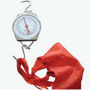 Hot selling 25KG Portable Spring baby scale  mechanical hanging baby weight scale with baby bag for family