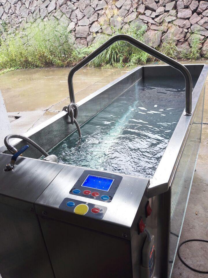 Adjustable water temperature Weight loss therapy equipment pet underwater treadmill