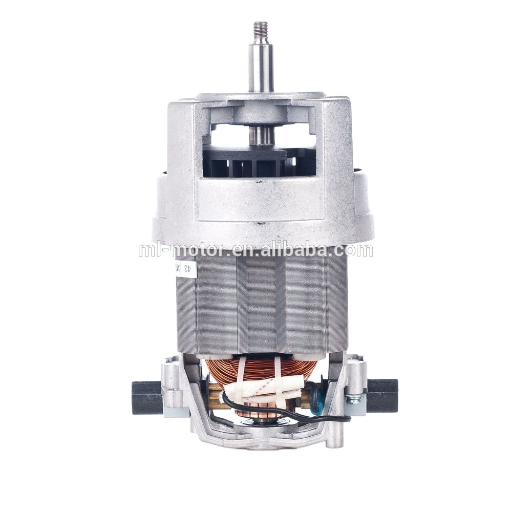 China Factory Food Processor Universal Series Motor (ML-9550-220)