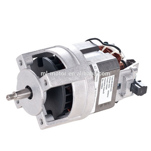 China Factory Food Processor Universal Series Motor (ML-9550-220)