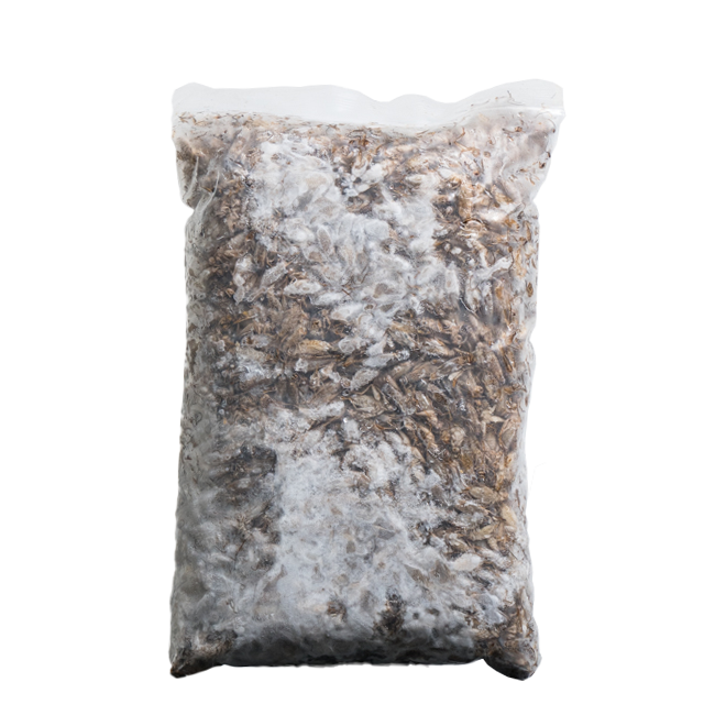 Ingredient Food Premium Frozen Crickets 5 kg For Material Food Bulk Pack Product of Thailand