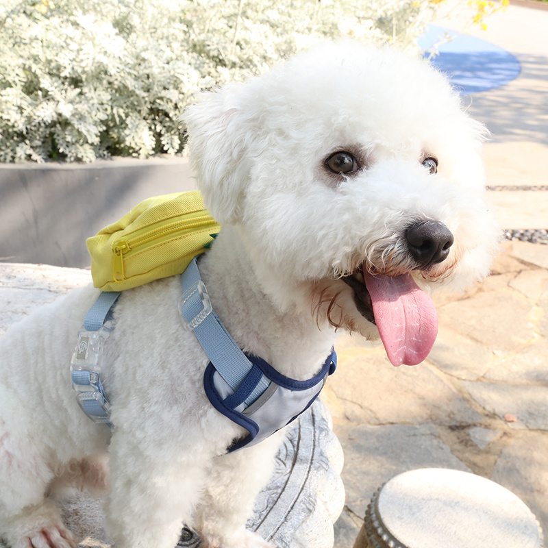 New Cute Pet Backpack Easy Wear Backpack Leash Pineapple Outdoor Backpack for Dogs Dog Harness