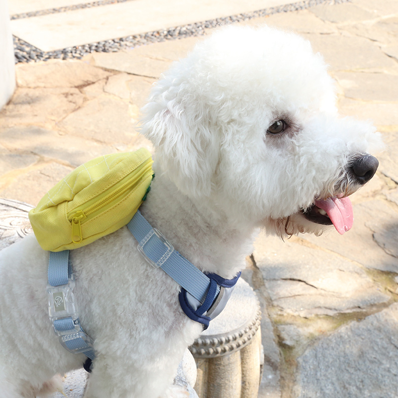 New Cute Pet Backpack Easy Wear Backpack Leash Pineapple Outdoor Backpack for Dogs Dog Harness