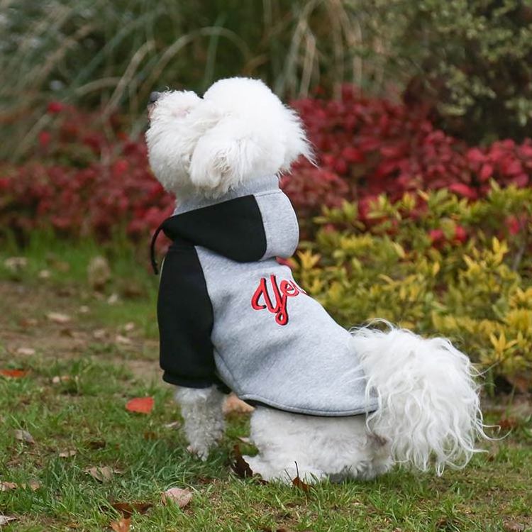 Maychan OEM Custom Breathable Matching Dog and Owner Clothes, Luxury Pet Apparel Dog Hoodie Clothes