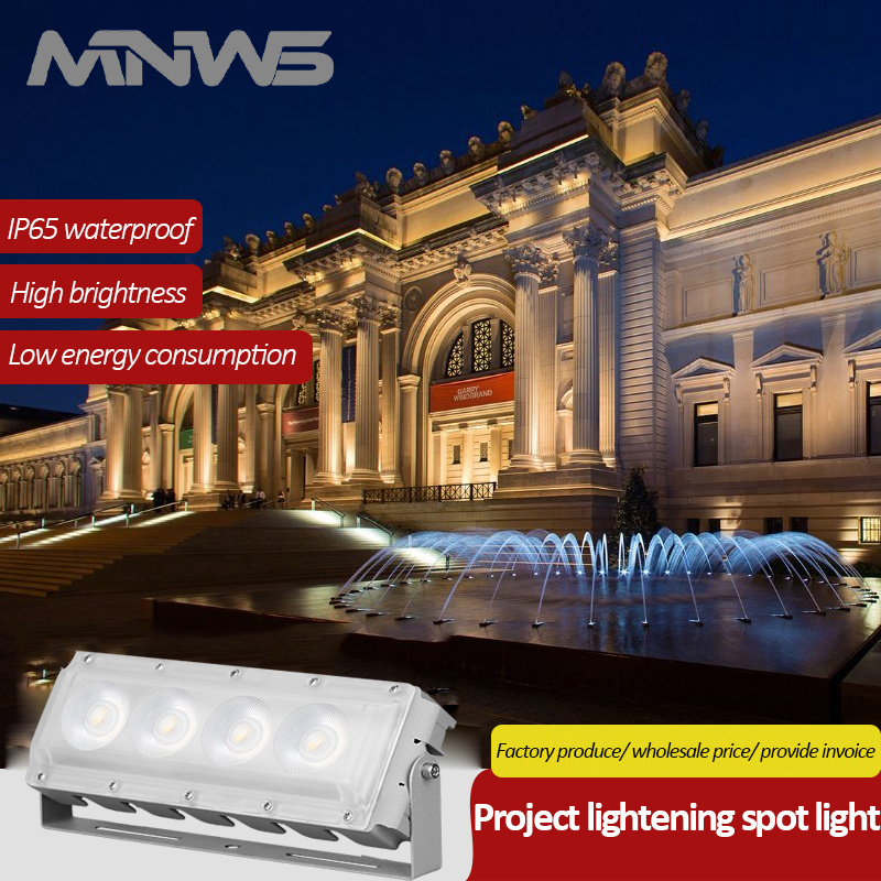 Hotel Decoration 50W Waterproof  Outdoor Project LED laser spot light  for led lighting outside