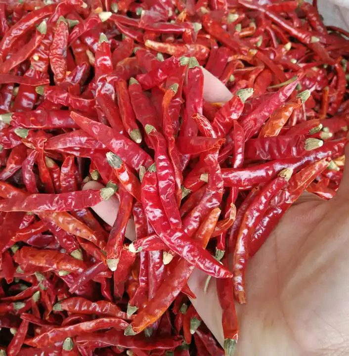 High Quality China Spices Dried Hot Spicy Pepper Dry Red Chili Pepper Natural Drying For Sale