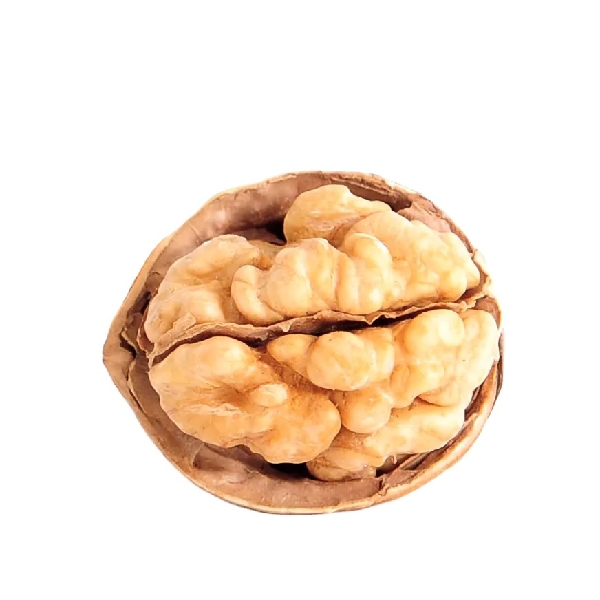 Wholesale Natural Raw Top Grade White Walnuts Kernels Bulk Raw Walnut Peeled Nuts China