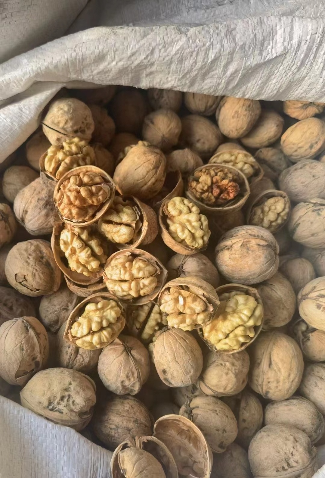 Wholesale Natural Raw Top Grade White Walnuts Kernels Bulk Raw Walnut Peeled Nuts China