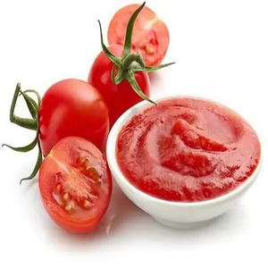 Hot selling Tomato Paste Best Discounts  Rich Flavor Chinese Canned Tomato Sauce 28-30% with Fresh Tomato