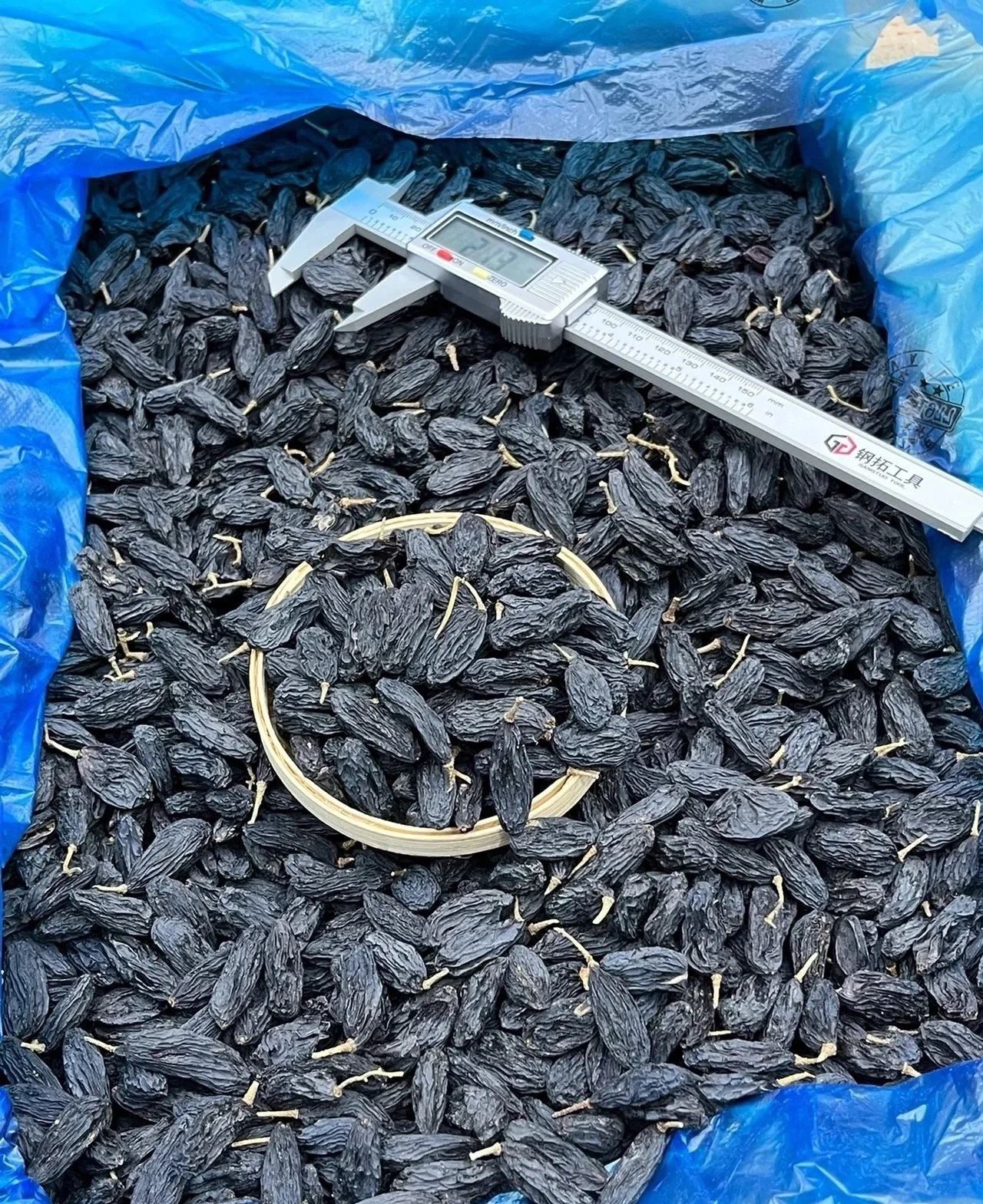 Chinese Raisin Factory Wholesale Natural Sun Dried Grapes Black Green Yellow Raisins With Cheap Price