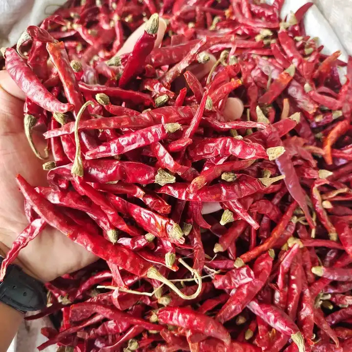 Red Chili Dried Top Selling Cheap Price Natural Flavor Dry Chili From Chinese Factory In Bulk