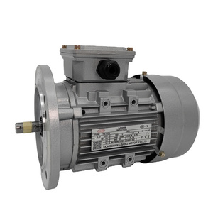 IE2 3 three phase electric motor 15 hp 0.55 kW~ 90 kW  moteur moto 125 3hp electric motor