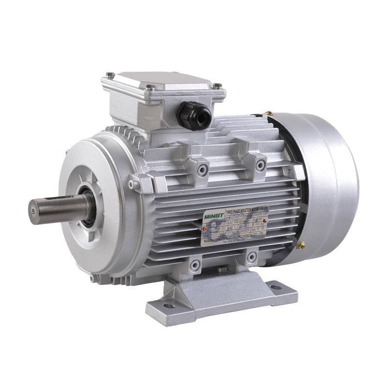 Customized 380v for Sale 3 Phase Electric Motor 50kw