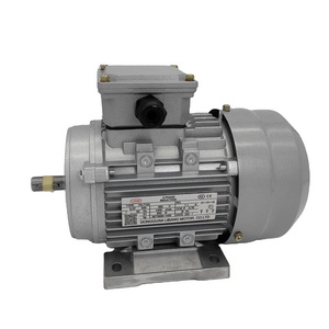 High Quality Durable Using 2 hp Electric Motor Single Phase Moteur single phase induction motor