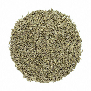 Premium quality dried cumin grain cumin seeds organic cumin spice for sale