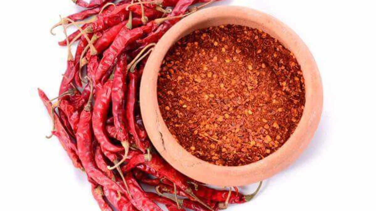 Top Wholesale Quality Chili Powder Best Natural Chili Sauce Factory Price Red Chili  Dried Herbs