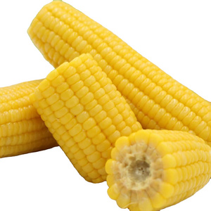 Vacuum packed yellow sweet corn organic healthy sweet corn fresh hot sale Chinese sweet corn for sale